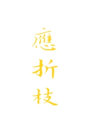 应勇简历